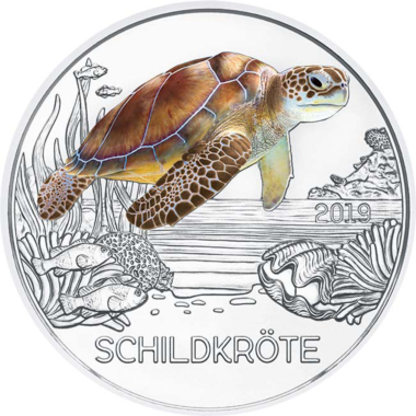 The Turtle