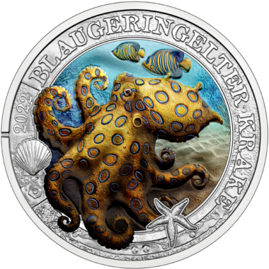 Blue-ringed Octopus